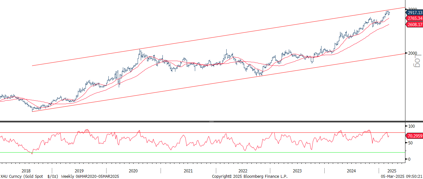 <p class="medium-text">&nbsp;</p><p class="medium-text">Source: Bloomberg, World Gold Council<br>*As of 28 February 2025. Includes relative strength indicator.</p>