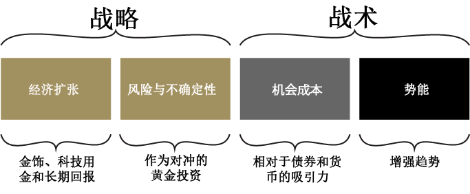 Focus 1