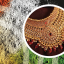 Jewellery demand and trade: India gold market series