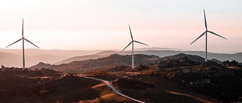 wind farm wind farm