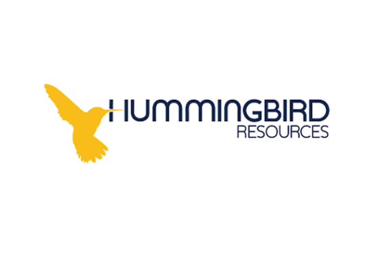 Humingbird logo