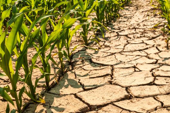 World Gold Council Report: Climate Change Adaptation and Resilience Strategies for the Gold Mining Industry