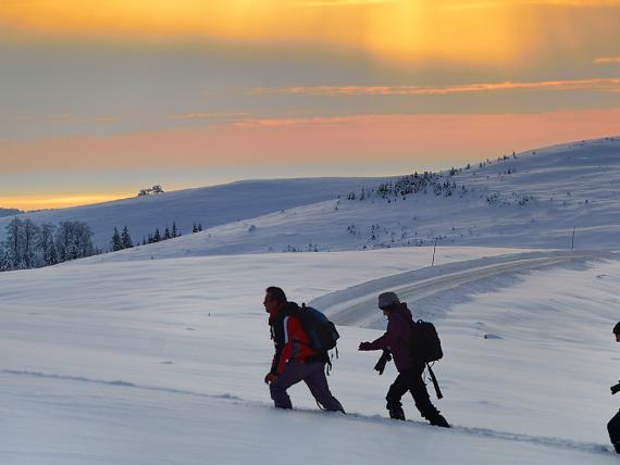 Gold Outlook 2026: Push ahead or pull back