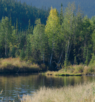 Mining and fish habitat co-exist in Alaska